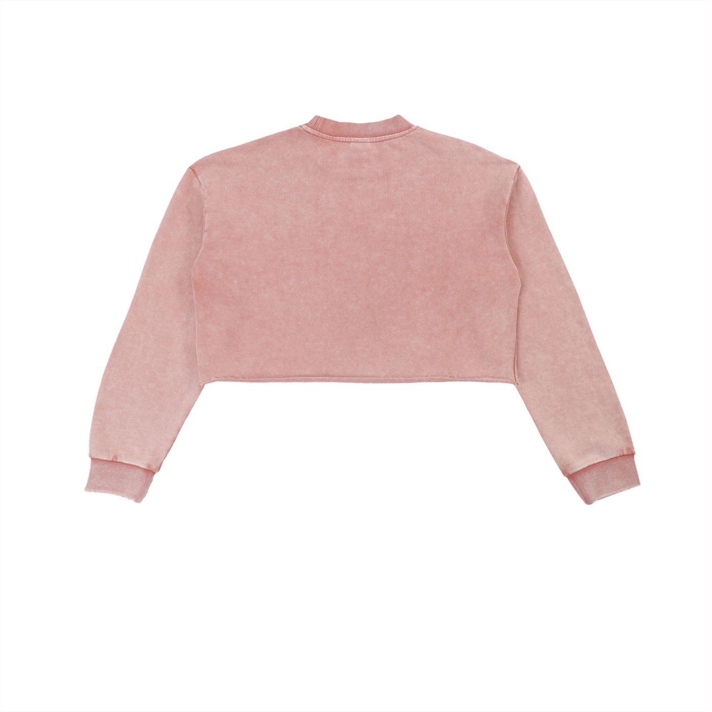 VIOR Snow Washed Cropped Sweatshirt