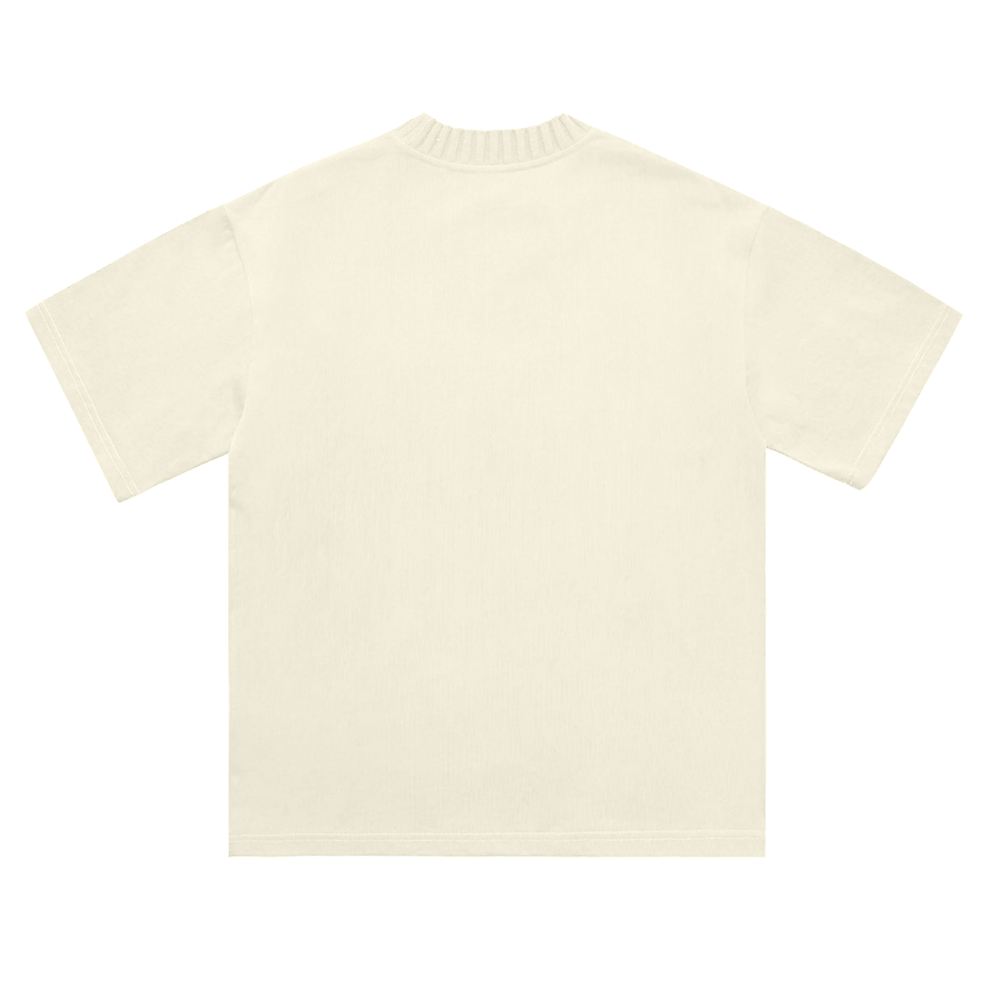 VIOR VR Heavyweight Knit T-Shirt