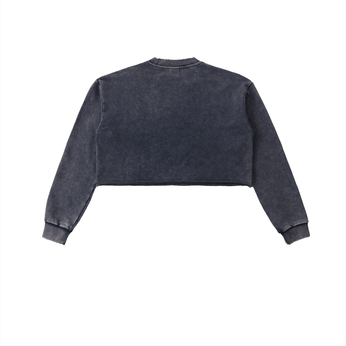 VIOR Snow Washed Cropped Sweatshirt