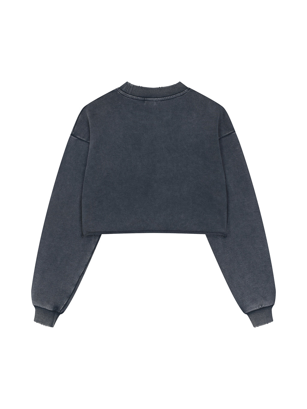 VIOR Snow Washed Cropped Sweatshirt