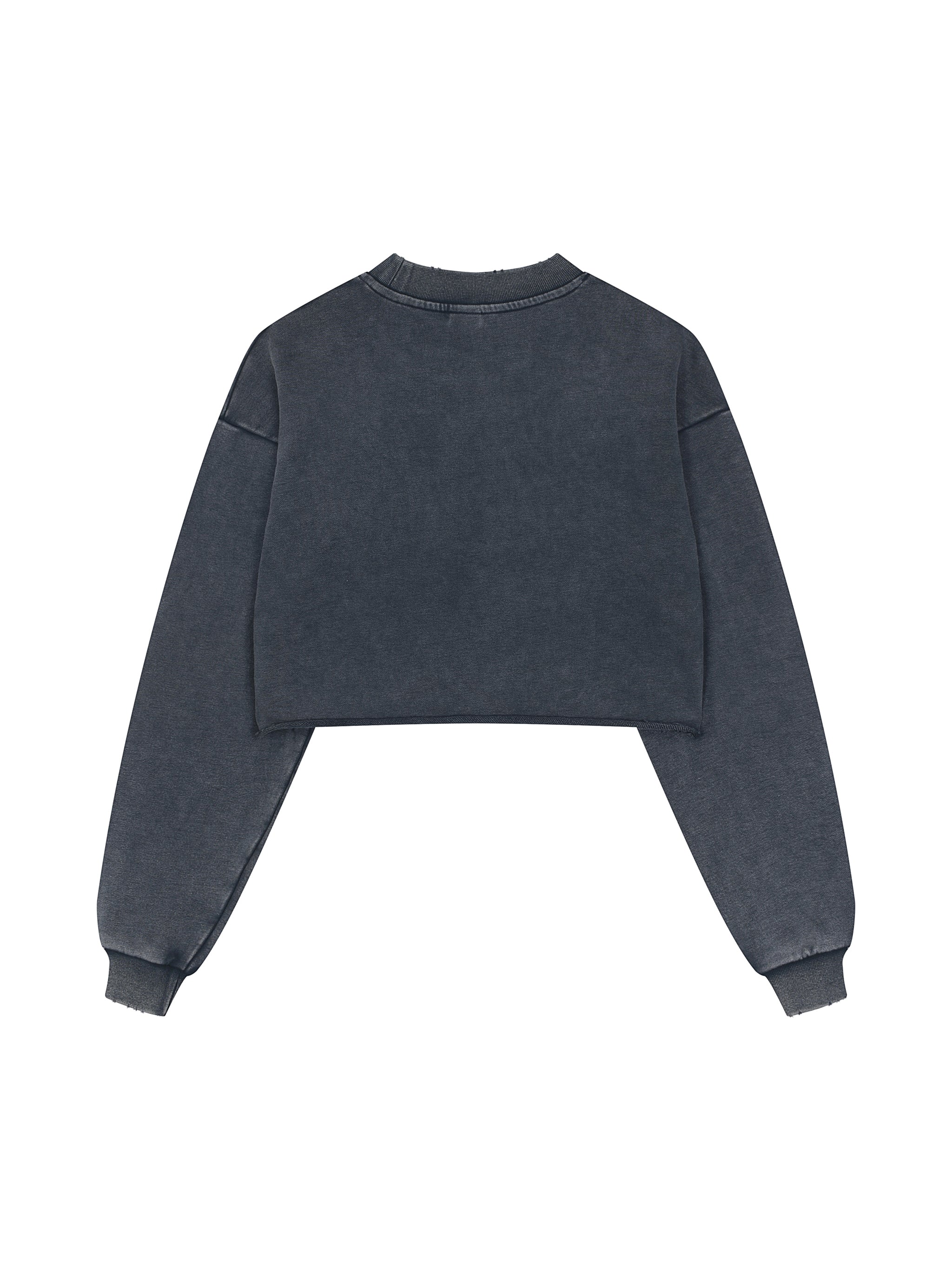 VIOR Snow Washed Cropped Sweatshirt